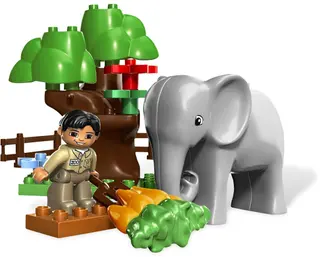 Feeding Zoo