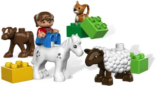 Farm Nursery