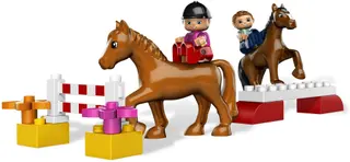 Horse Stables
