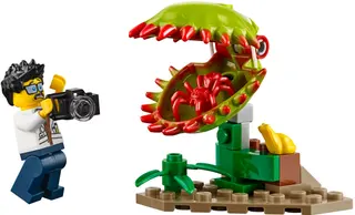 Jungle Exploration Site