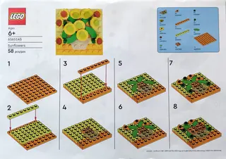 Tournesols M&T