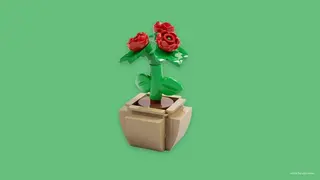 Muttertagsblume M&T
