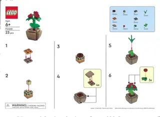 Muttertagsblume M&T