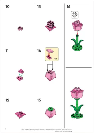 Micro rose rose