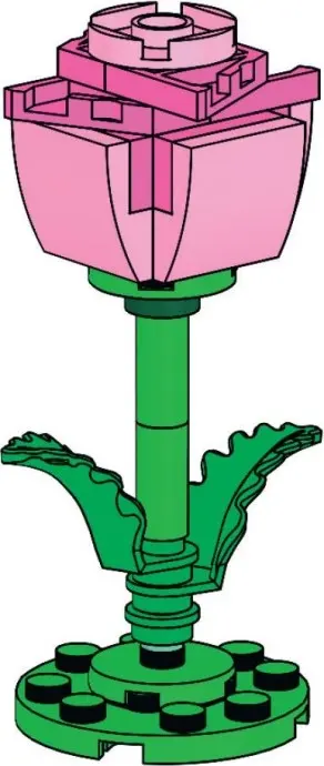 Micro rose rose