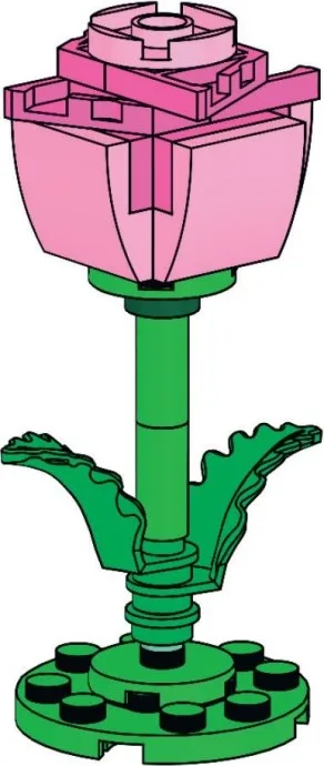 Micro rose rose