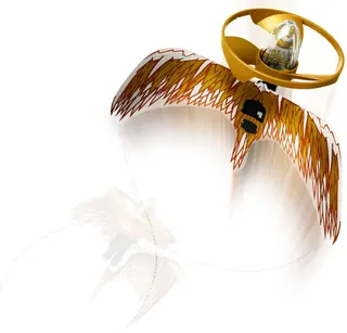 Gouden Drakenmeester