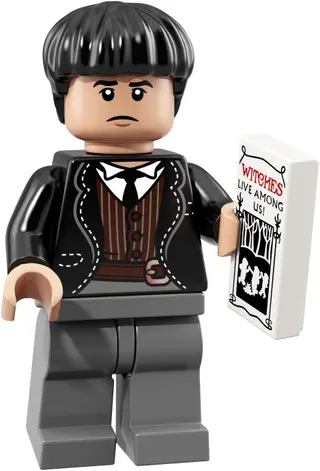 Figurines LEGO - Série Harry Potter et Les Animaux Fantastiques - Boîte scellée