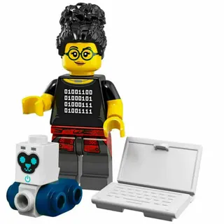 LEGO Minifiguren – Serie 19 – Versiegelte Box