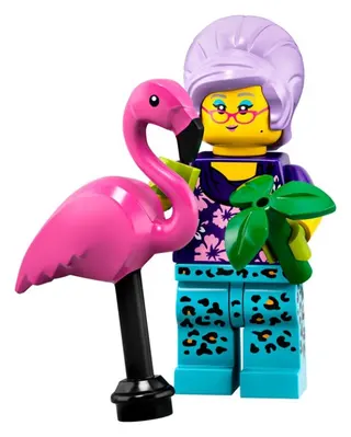 LEGO Minifiguren – Serie 19 – Versiegelte Box