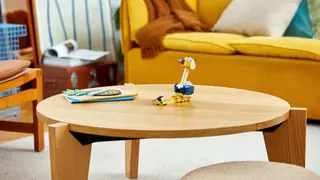 Le Noggin Bopper de Conkdor