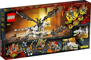 Schädelzaubererdrache