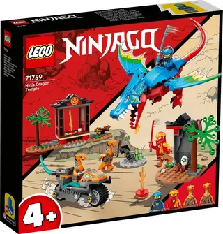 Ninja-Drachentempel