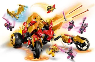 Kai's Gouden Drakenrover