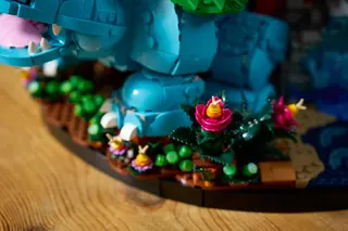 Venusaur, Charizard und Turtok