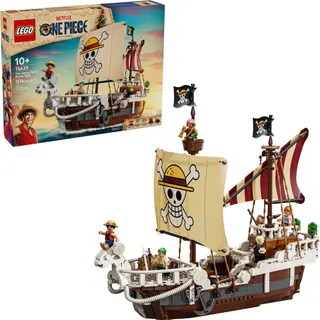 Het piratenschip Going Merry