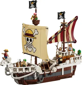 Het piratenschip Going Merry
