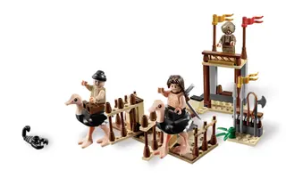 The Ostrich Race
