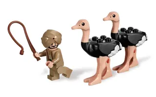 The Ostrich Race