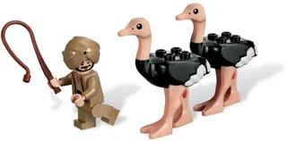 The Ostrich Race