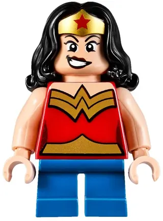 Mighty Micros: Wonder Woman vs. Doomsday