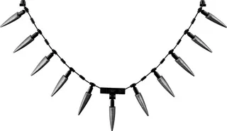 Panthère noire