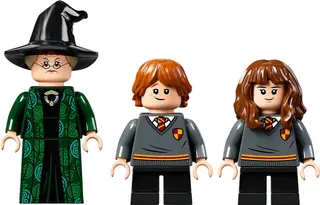 Hogwarts-moment: Transfiguratieles