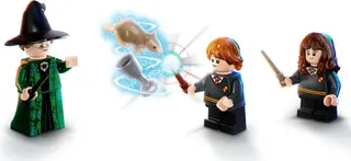 Hogwarts-moment: Transfiguratieles