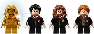 Hogwarts: Fluffy Encounter