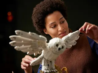 Hogwarts-iconen - Collectors' Edition