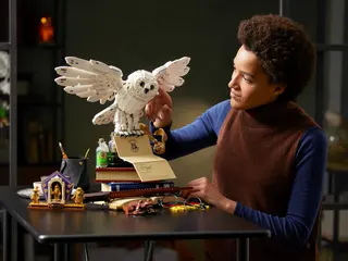 Hogwarts-iconen - Collectors' Edition