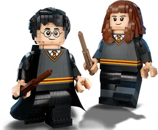 Harry Potter & Hermione Granger