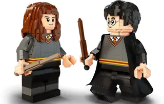 Harry Potter & Hermione Granger