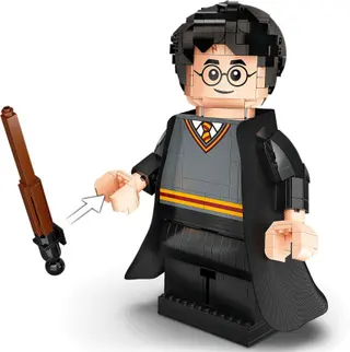 Harry Potter & Hermione Granger