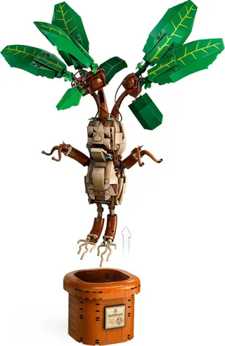Mandragora