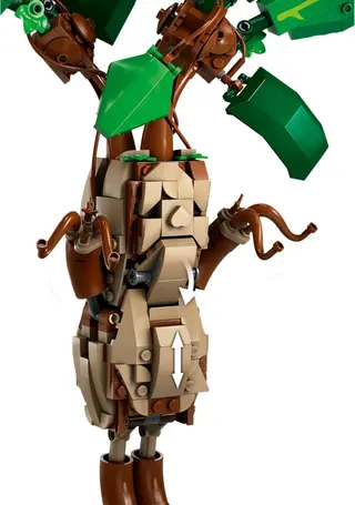 Mandragora