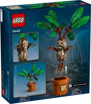 Mandragora