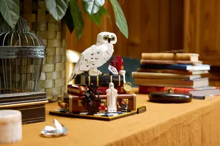 Philosopher's Stone - Collectors' Edition