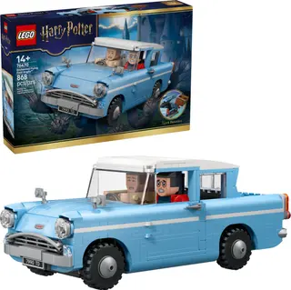 Enchanted Flying Ford Anglia