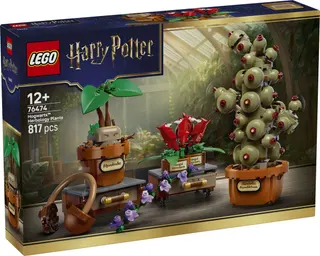 Hogwarts-Kräuterkunde