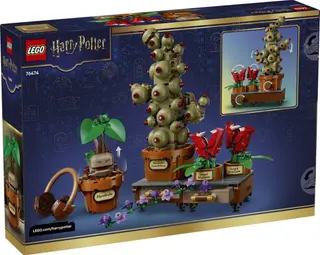 Hogwarts-Kräuterkunde