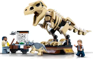 Exposition de fossiles de dinosaures T. rex