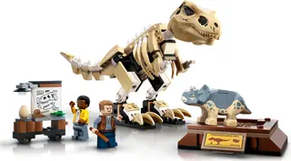 Exposition de fossiles de dinosaures T. rex