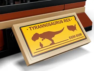 Exposition de fossiles de dinosaures T. rex