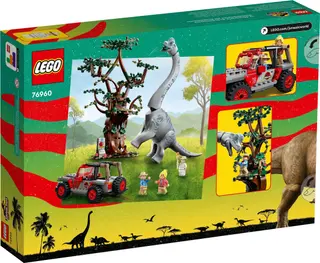 Découverte du Brachiosaure