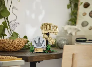 Dinosaurusfossielen: schedel van T. rex