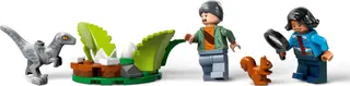 Dinosaurier-Missionen: Stegosaurus-Entdeckung