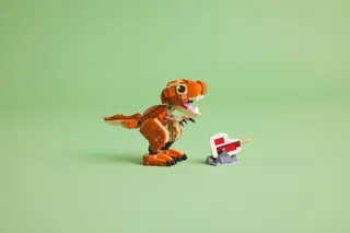 Petit mangeur : T. rex