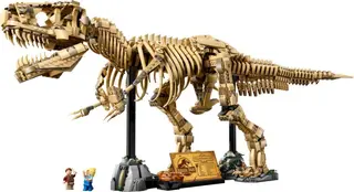 Fossiles de dinosaures : Tyrannosaurus rex