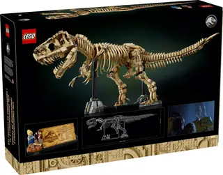 Fossiles de dinosaures : Tyrannosaurus rex